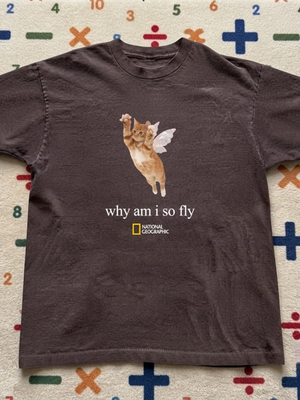 National Geographic Brown Tee with Flying Cat Graphic